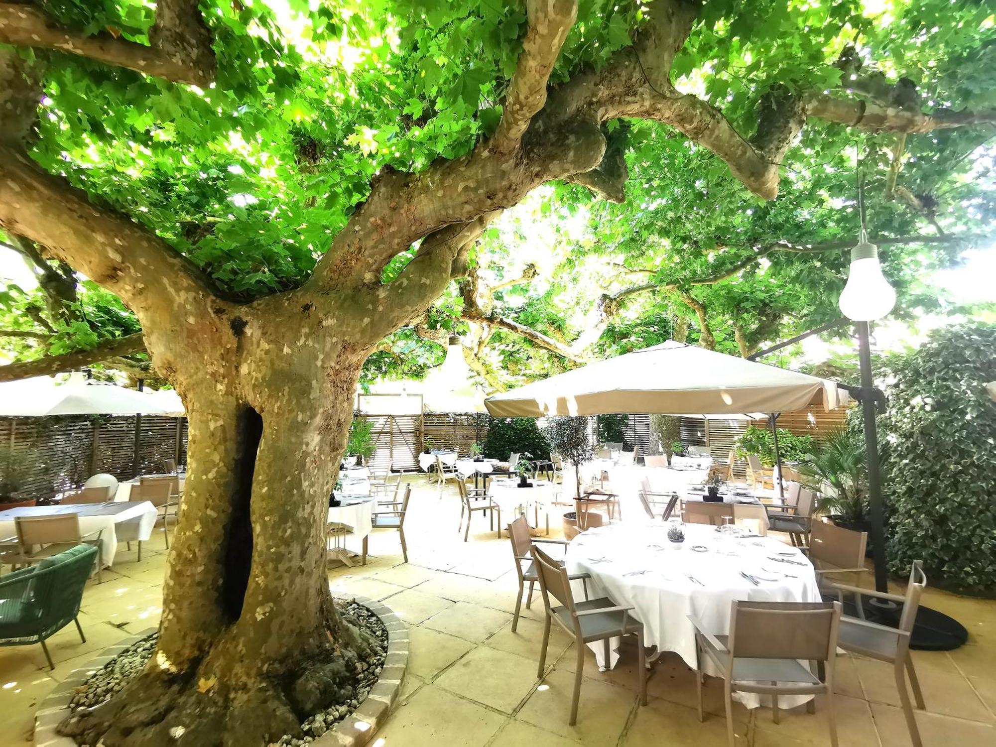 Logis Hotel - Restaurant Maison Claude Darroze ランゴン エクステリア 写真